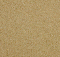 Линолеум Lg Trendy TD12506 фото 1 | FLOORDEALER