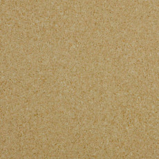 Линолеум Lg Trendy TD12506 фото 1 | FLOORDEALER