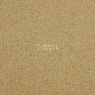 Линолеум Lg Trendy TD12506 фото 1 | FLOORDEALER