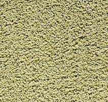 Ковролин Balta Euphoria 415 фото 1 | FLOORDEALER