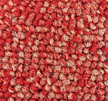 Standard Carpets Spectrum sm 527 фото 3 | FLOORDEALER