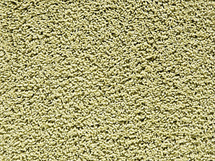 Ковролин Balta Euphoria 415 фото 1 | FLOORDEALER