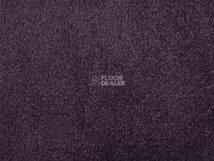 Ковролин ITC Natural Luxury Flooring Chamonix Chamonix 190436 Amethyst фото 1 | FLOORDEALER