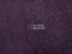 Ковролин ITC Natural Luxury Flooring Chamonix Chamonix 190436 Amethyst фото 1 | FLOORDEALER
