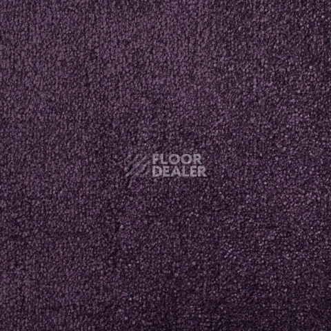 Ковролин ITC Natural Luxury Flooring Chamonix Chamonix 190436 Amethyst фото 1 | FLOORDEALER