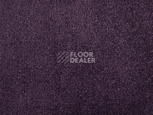 Ковролин ITC Natural Luxury Flooring Chamonix Chamonix 190436 Amethyst фото 1 | FLOORDEALER