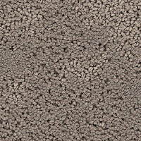 Ковролин Balsan Louvre 730 фото 1 | FLOORDEALER