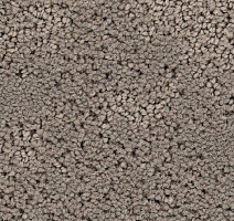 Ковролин Balsan Louvre 730 фото 1 | FLOORDEALER