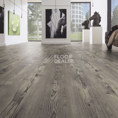 Ламинат Kronotex Dynamic Plus d4781 Дуб Курганный фото 2 | FLOORDEALER