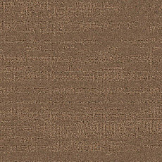 Ковролин Balsan Sierra 661 фото 1 | FLOORDEALER