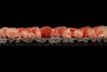 Balsan Stoneage 430 фото 3 | FLOORDEALER