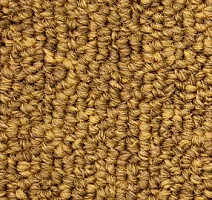 Ковролин Salisbury Beaulieu of America 314 фото 1 | FLOORDEALER