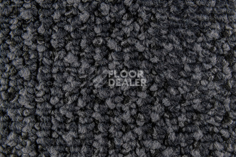 Balsan Take a Walk 990 Take a Walk фото 3 | FLOORDEALER