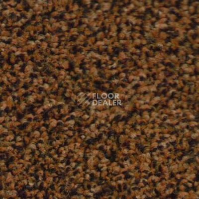 Ковровая плитка Ruscarpettiles Riva 430 фото 1 | FLOORDEALER