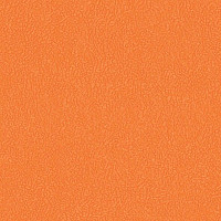 Линолеум Grabo Sport Extreme 80 3338_00_273 фото 1 | FLOORDEALER