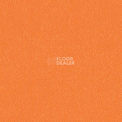 Линолеум Grabo Sport Extreme 80 3338_00_273 фото 1 | FLOORDEALER