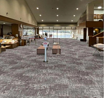 Apoluza Dream Dream фото 2 | FLOORDEALER