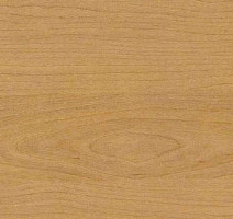 Линолеум Taraflex Multi-Use 6.2 Wood 4331_Wood_Natural фото 1 | FLOORDEALER