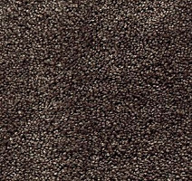 Ковролин AW Danieli 44 фото 1 | FLOORDEALER