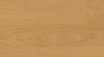 Линолеум Taraflex Multi-Use 6.2 Wood 4331_Wood_Natural фото 1 | FLOORDEALER