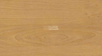 Линолеум Taraflex Multi-Use 6.2 Wood 4331_Wood_Natural фото 1 | FLOORDEALER