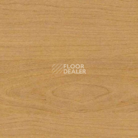 Линолеум Gerflor Taraflex Multi-Use 6.2 Wood 4331_Wood_Natural фото 1 | FLOORDEALER