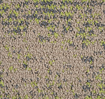 Neuflor Desert 600905 + New Leaf фото 3 | FLOORDEALER