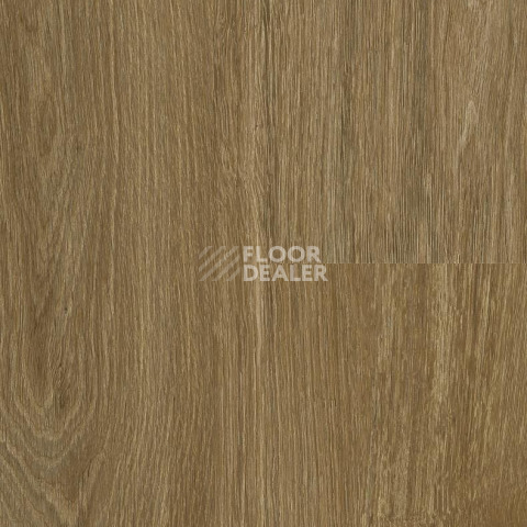 Кварцвиниловые полы Falquon The Floor Wood P6003 Calm Oak фото 1 | FLOORDEALER