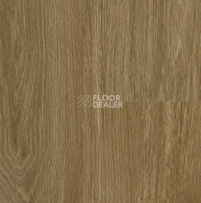 Кварцвиниловые полы The Floor Wood P6003 Calm Oak фото 1 | FLOORDEALER