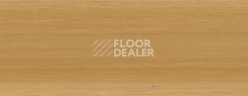 Hsl 8 универсальный плинтус 2273 beech фото 2 | FLOORDEALER