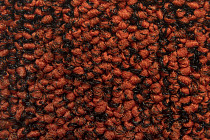 Balsan Progression 440 фото 2 | FLOORDEALER