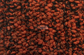 Balsan Progression 440 фото 2 | FLOORDEALER