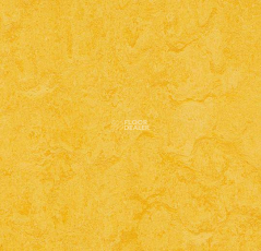 Marmoleum Modular Colour 3251 фото 1 | FLOORDEALER