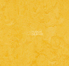 Кварцвиниловые полы Forbo Marmoleum Modular Colour 3251 фото 1 | FLOORDEALER