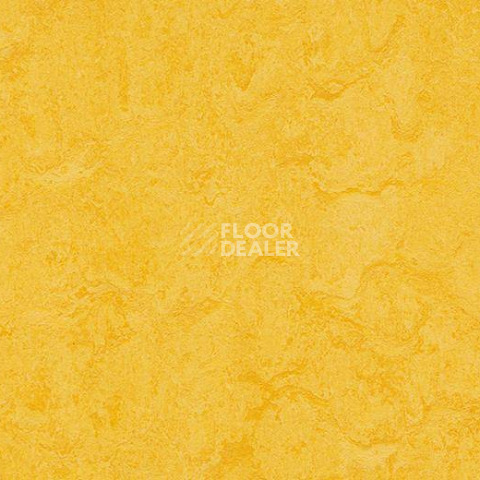 Кварцвиниловые полы Forbo Marmoleum Modular Colour 3251 фото 1 | FLOORDEALER