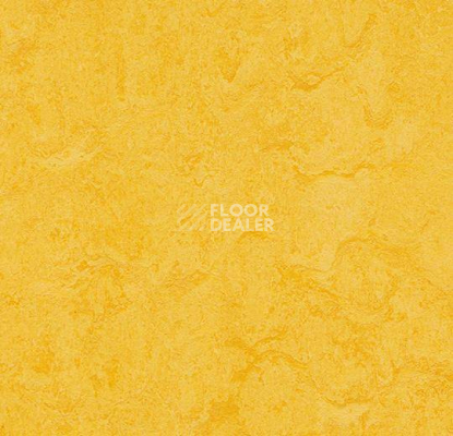 Кварцвиниловые полы Marmoleum Modular Colour 3251 фото 1 | FLOORDEALER