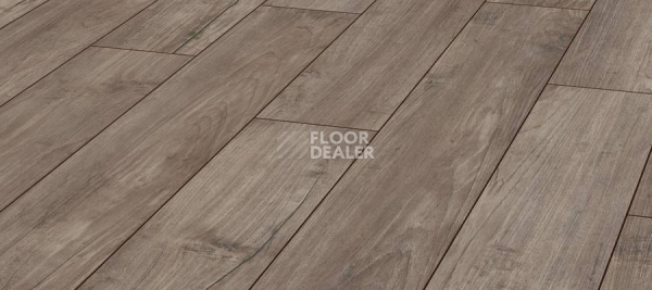 Ламинат Kronotex Exquisit 8мм d3242 Тик Ностальжи Серебряный фото 1 | FLOORDEALER