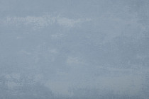 Forbo Emerald Standart 72421 фото 3 | FLOORDEALER