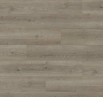 Ламинат Haro Tritty 100 Campus 4V Дуб Флавия Серый 544754 фото 1 | FLOORDEALER