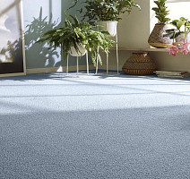 Vorwerk Essential 1008 Vorwerk 3n90 фото 4 | FLOORDEALER
