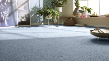 Vorwerk Essential 1008 Vorwerk 3n90 фото 4 | FLOORDEALER