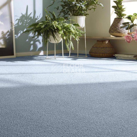 Vorwerk Essential 1008 Vorwerk 3n90 фото 4 | FLOORDEALER