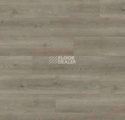 Ламинат Haro Tritty 100 Campus 4V Дуб Флавия Серый 544754 фото 1 | FLOORDEALER