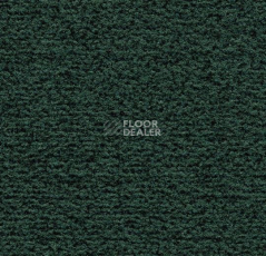 Грязезащитные покрытия Forbo Coral в плитке 4768 Hunter Green фото 1 | FLOORDEALER