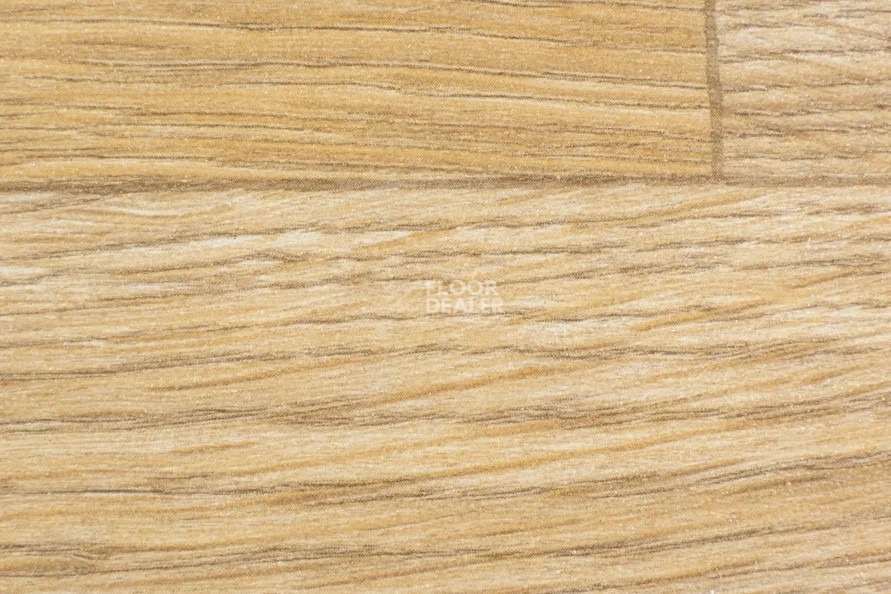 Forbo Emerald Wood Fr 5802 фото 2 | FLOORDEALER