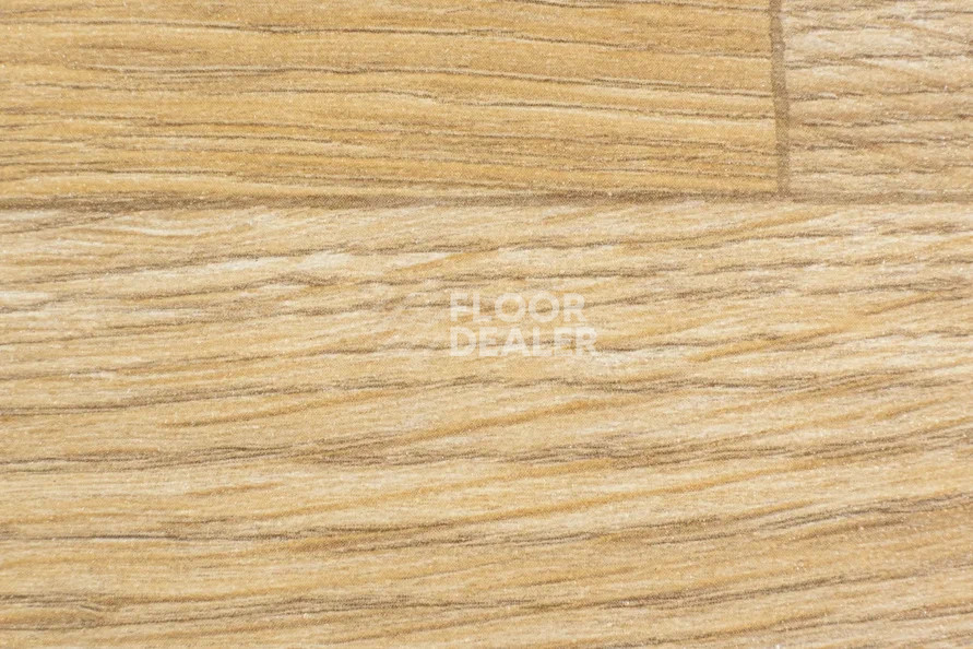 Линолеум FORBO Emerald Wood FR 5802 фото 1 | FLOORDEALER