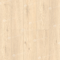 Кварцвиниловые полы Alpine Floor Grand Sequoia (1220x183) ГРАНД СЕКВОЙЯ АДЕНДРОН ECO 11-23 фото 1 | FLOORDEALER