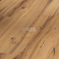 Ламинат Parador Basic Plus 400 1744348 Дуб Chronicle Basic фото 1 | FLOORDEALER