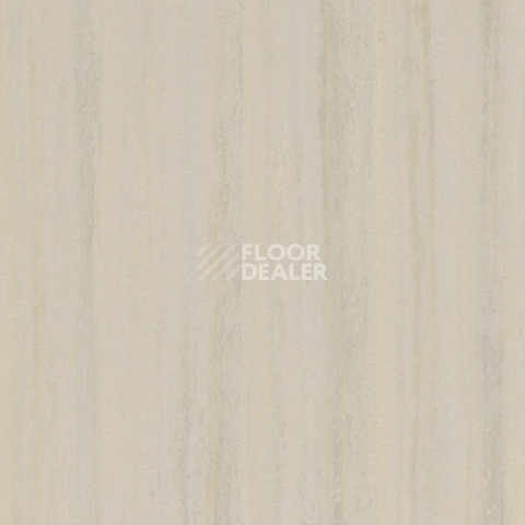Линолеум Forbo Marmoleum Striato 5252 ivory shades фото 1 | FLOORDEALER