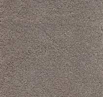 Ковролин AW Sirene 39 фото 1 | FLOORDEALER